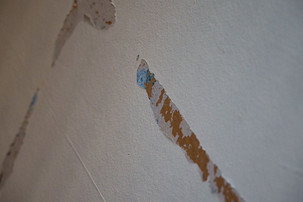 Commercial Water Damage service in Concord, CA